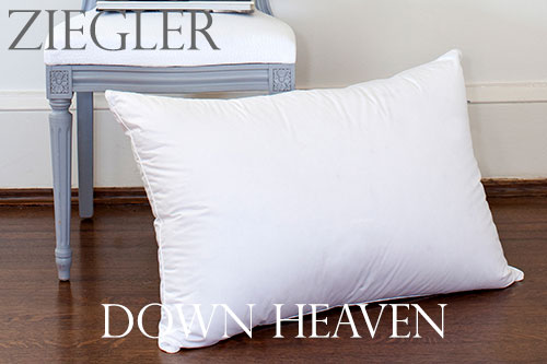 St. Geneve Ziegler Polish Goose Down Pillows - Down Heaven