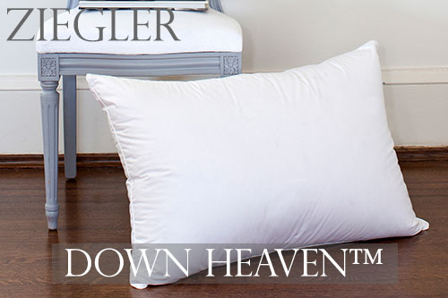 St. Geneve Ziegler Polish Goose Down Pillows - Down Heaven